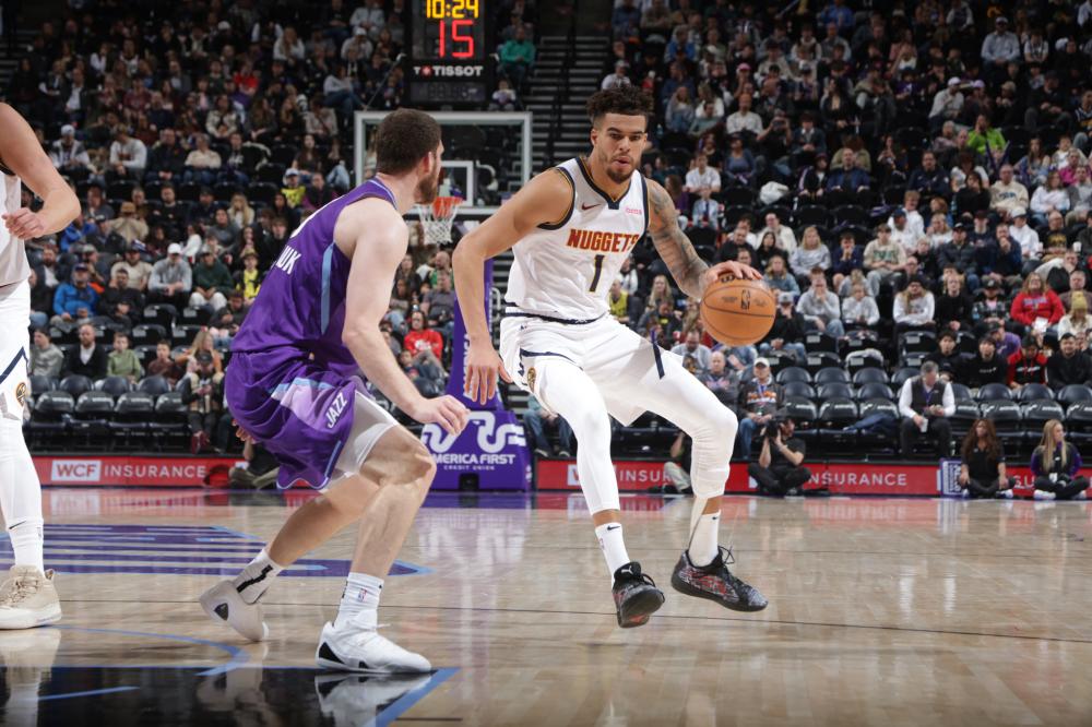 提供了多样 提供了多样