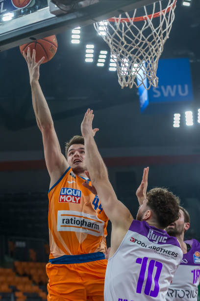 皇家社会在 皇家社会在